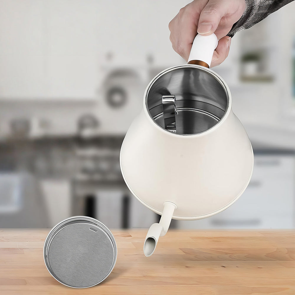 1L Stainless Steel Gooseneck Electric Kettle, 1000W Fast Heating