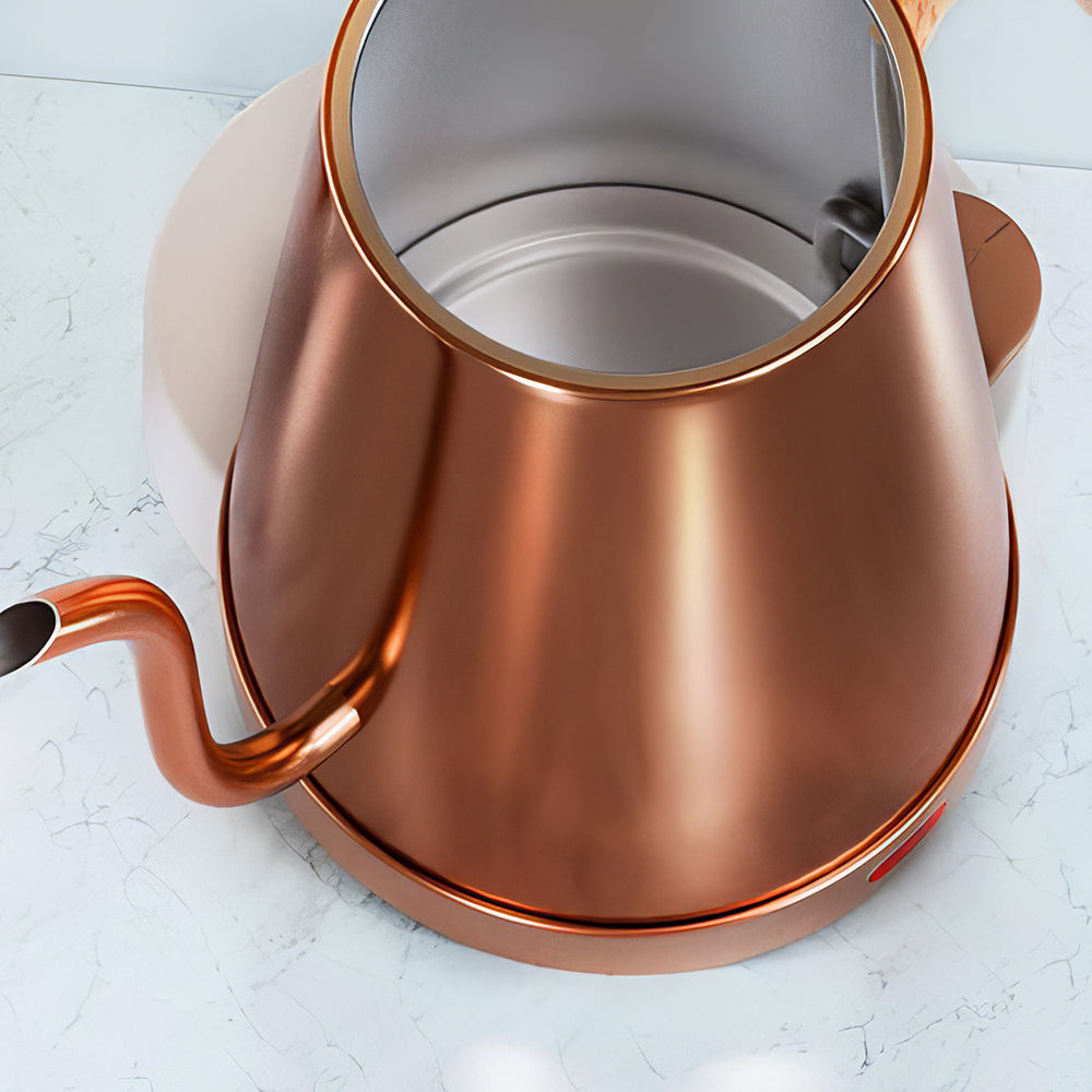 1L Gooseneck Electric Kettle with Thermometer, 1000W Auto Shut-Off