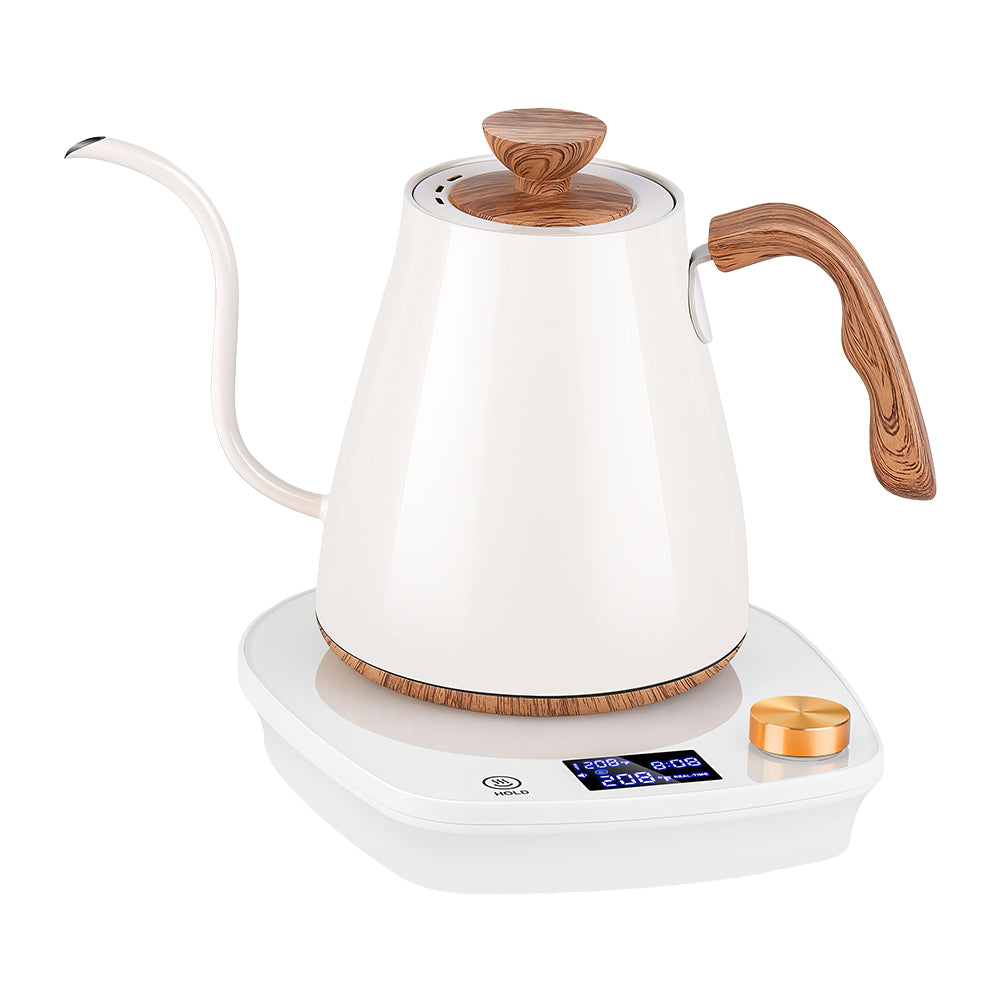 0.9L Gooseneck Electric Kettle with Temperature Control, 1000W Stainless Steel