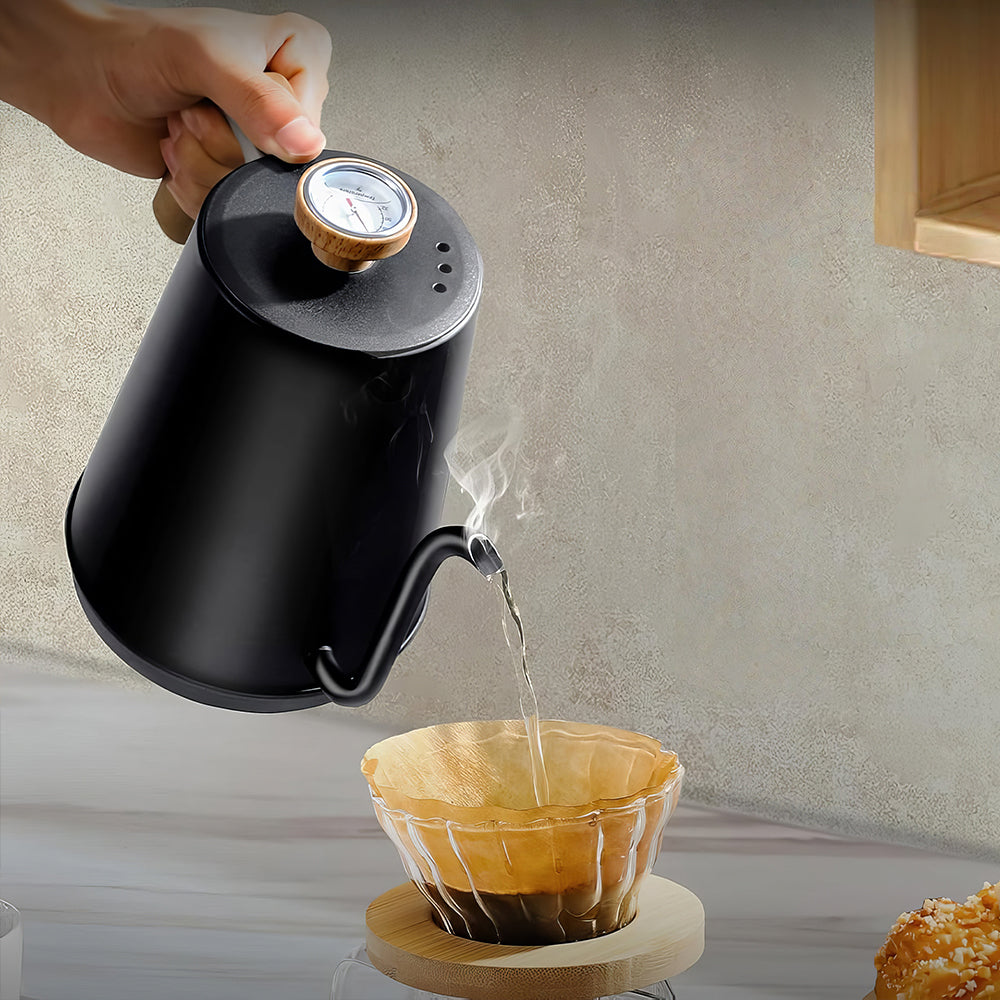 1L Gooseneck Electric Kettle with Thermometer, 1000W Auto Shut-Off