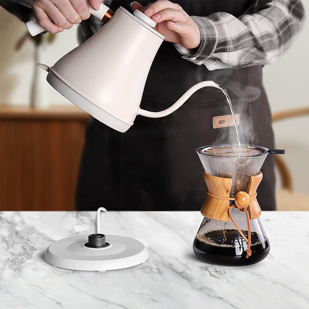 1L Stainless Steel Gooseneck Electric Kettle, 1000W Fast Heating