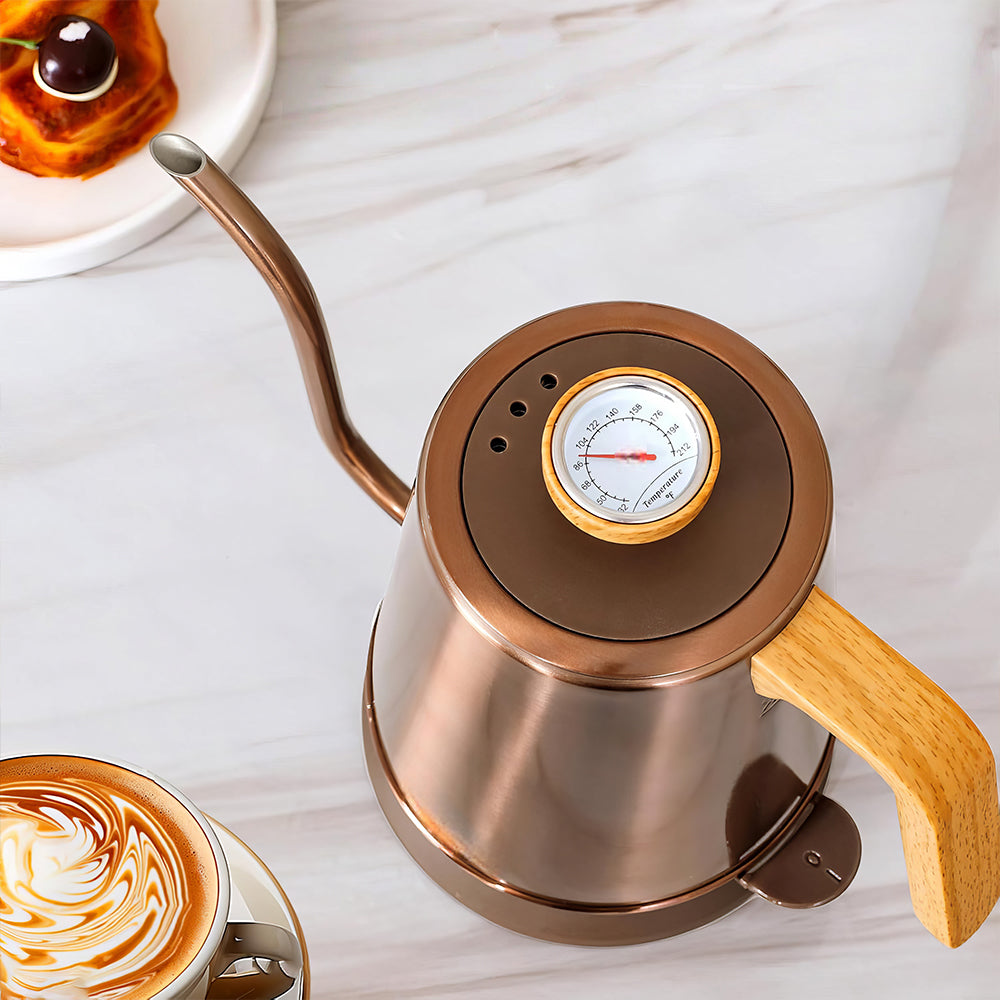 1L Gooseneck Electric Kettle with Thermometer, 1000W Auto Shut-Off