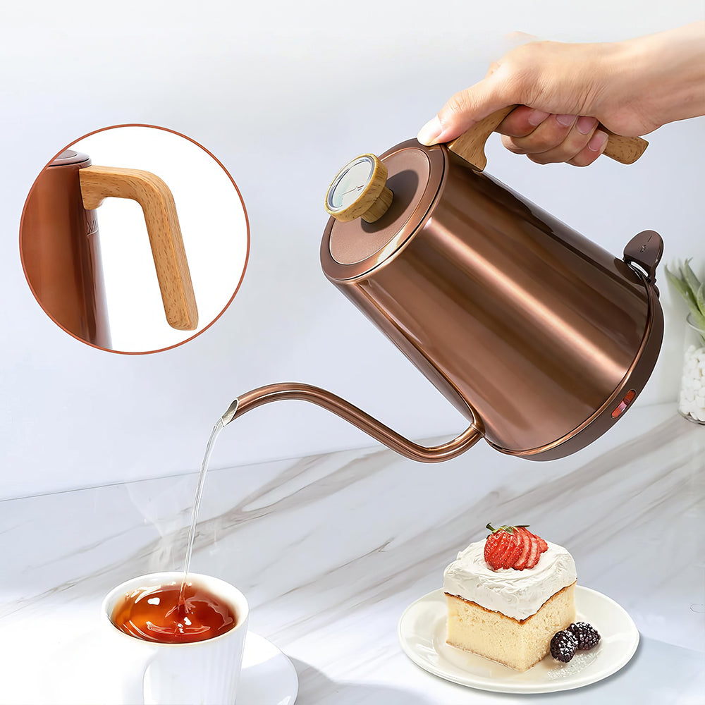 1L Gooseneck Electric Kettle with Thermometer, 1000W Auto Shut-Off