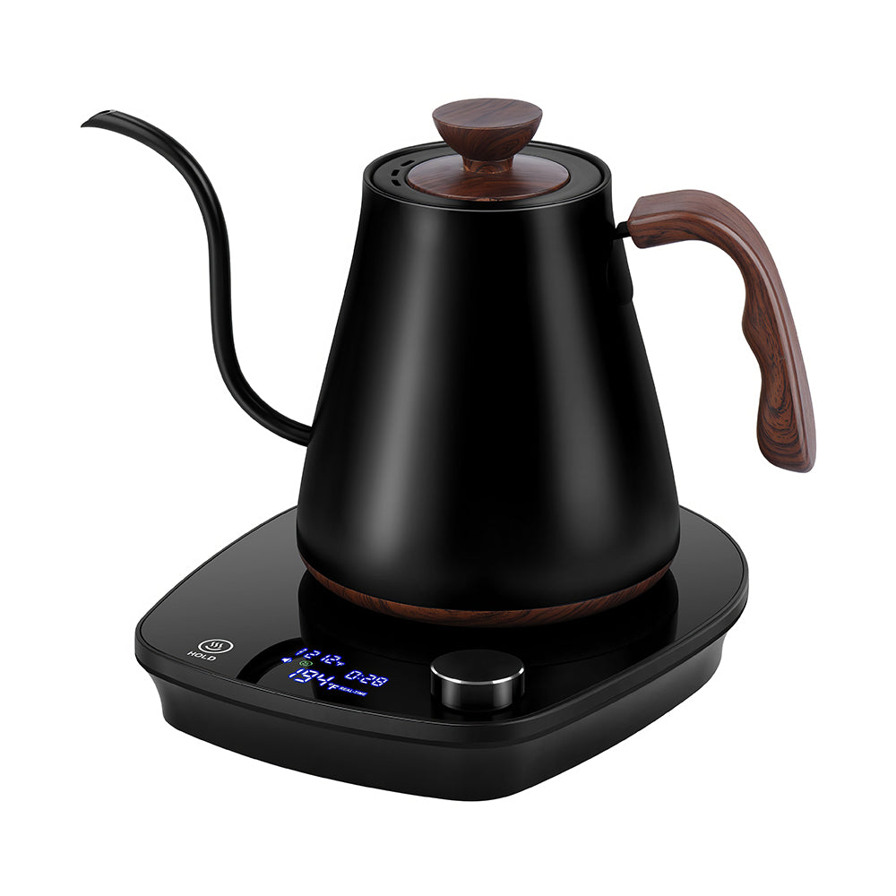 0.9L Gooseneck Electric Kettle with Temperature Control, 1000W Stainless Steel