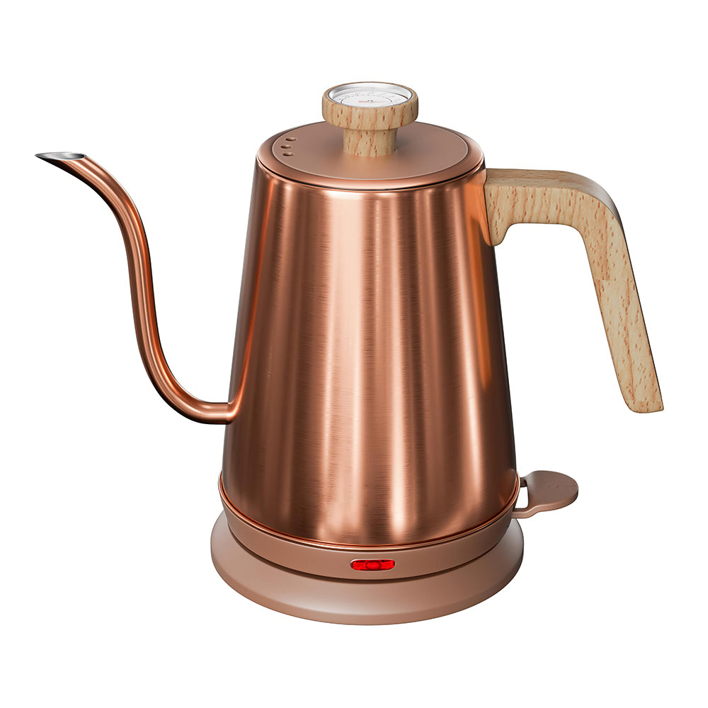 1L Gooseneck Electric Kettle with Thermometer, 1000W Auto Shut-Off