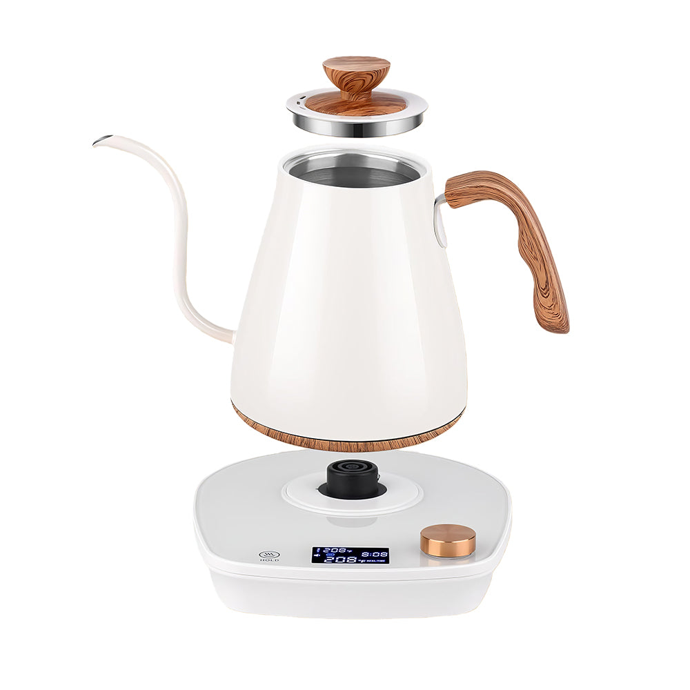 0.9L Gooseneck Electric Kettle with Temperature Control, 1000W Stainless Steel