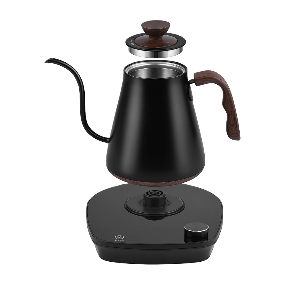 0.9L Gooseneck Electric Kettle with Temperature Control, 1000W Stainless Steel