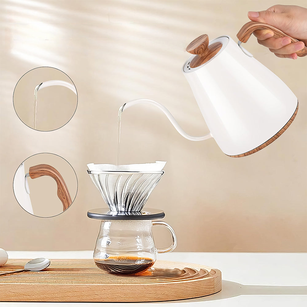 0.9L Gooseneck Electric Kettle with Temperature Control, 1000W Stainless Steel