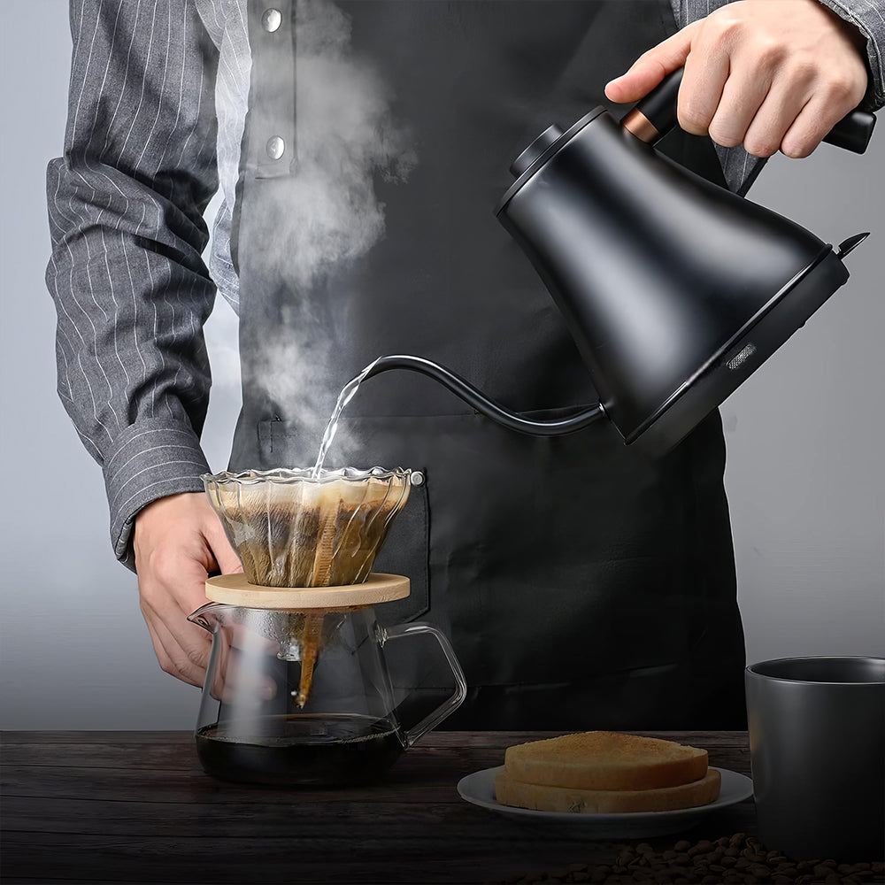 1L Stainless Steel Gooseneck Electric Kettle, 1000W Fast Heating